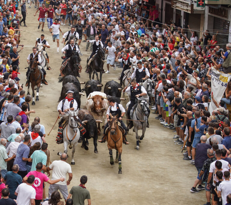 Primera entrada de Toros y Caballos de Segorbe se desarrolla de manera rápida y compacta