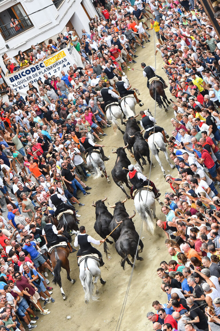 Segorbe celebra su quinta entrada de Toros y Caballos sin incidentes y con gran asistencia de público