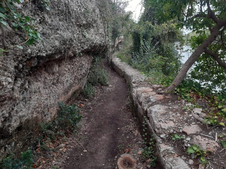 Oberta novament la ruta Botànica del Paisatge Protegit de la Desembocadura del riu Millars