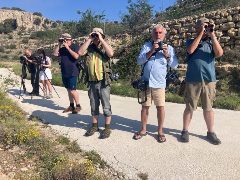 Periodistas europeos viajan a Ares para avistar aves y captar nuevos turistas