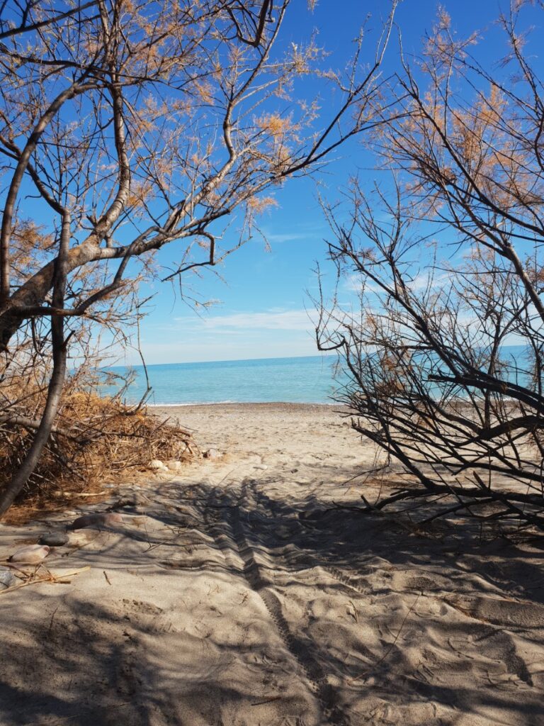 Las playas de Moncofa