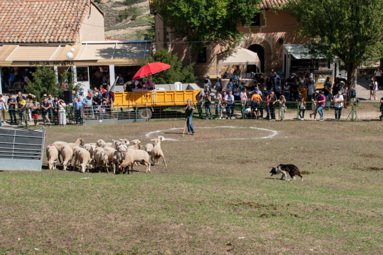 Finaliza la edición 2024 de la Feria de Morella