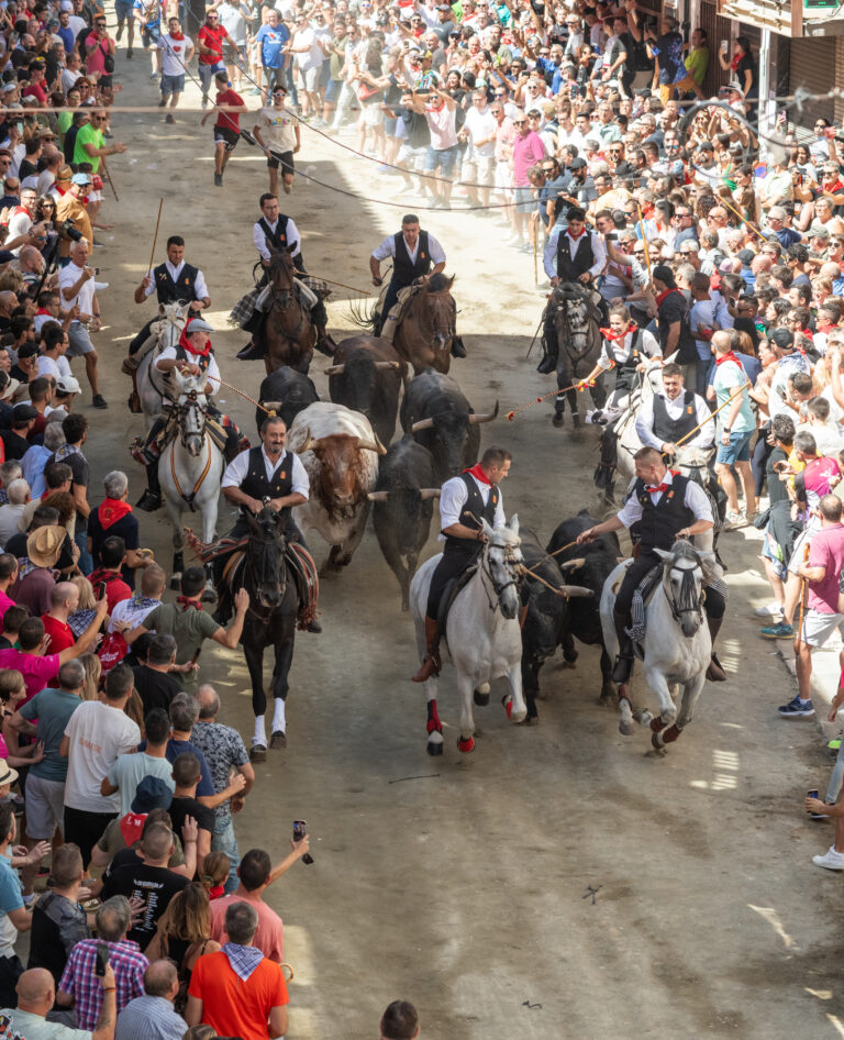 Segorbe celebra una excelente y veloz primera Entrada de Toros y Caballos