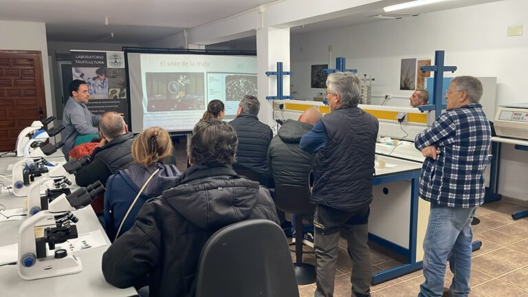 La Villa de El Toro busca la excelencia trufícola